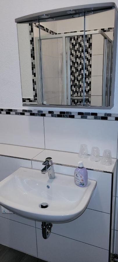 Zentral Und Ruhig In Auerbach Appartement Auerbach  Buitenkant foto